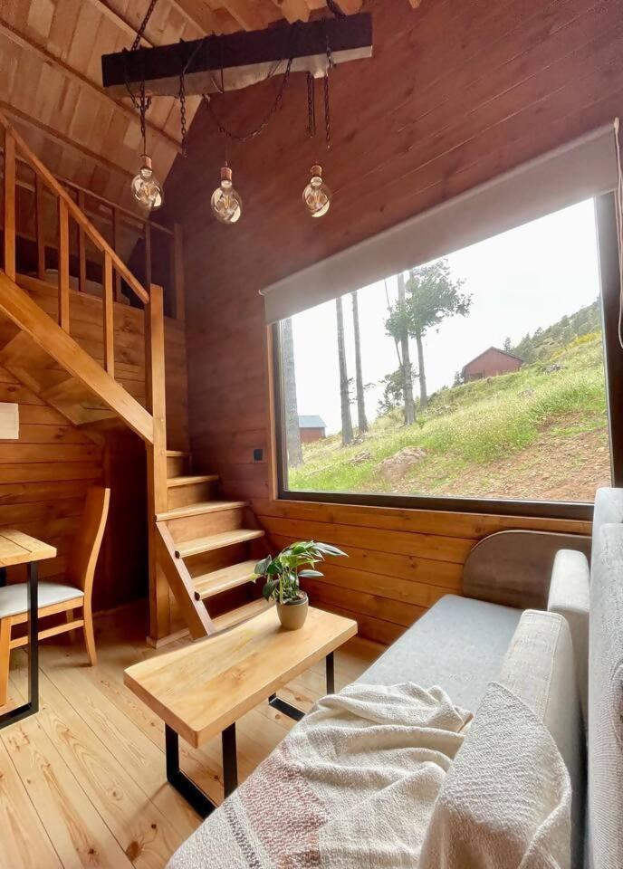 丰沙尔 Mountain Eco Shelter 7酒店 外观 照片