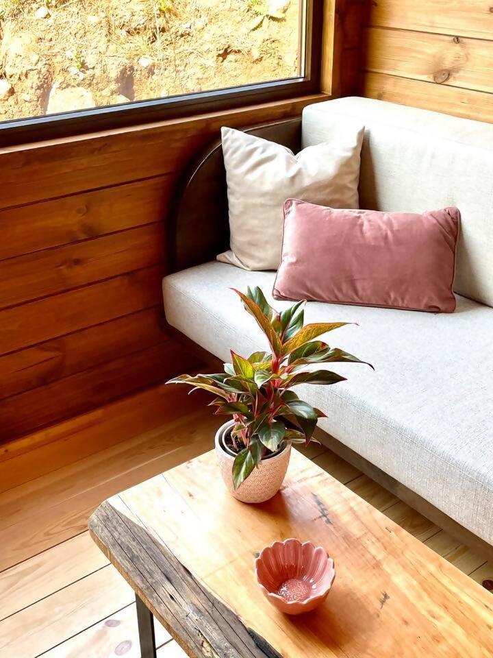 丰沙尔 Mountain Eco Shelter 7酒店 外观 照片